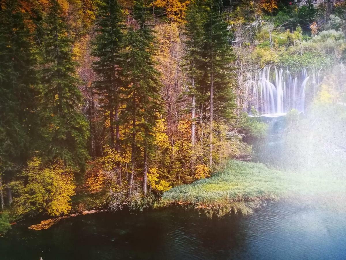 Apartman Marija Brajdic Rakovica Esterno foto